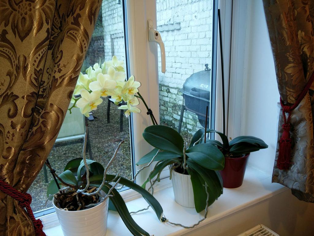 Hammersmith Apartment ブレントフォード エクステリア 写真